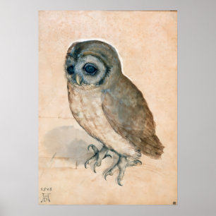 AFFICHES DESSINS ANIMAUX DE RENAISSANCE / LE BOULE