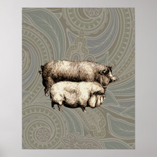Affiches Dessins de cochons antiques vintage