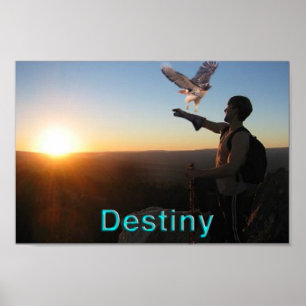 Affiches Destin