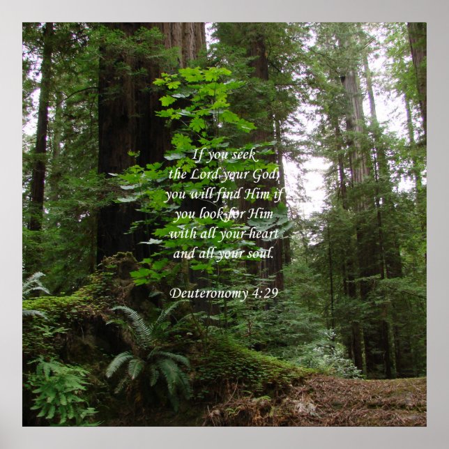 Affiches Deutéronome 4:29 ~ Chercher le Seigneur (Devant)