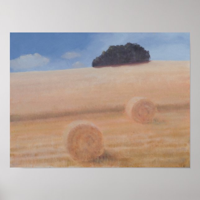 Affiches Deux balles de foin 2012 (Devant)