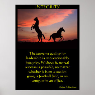 Affiches Deux étalons noirs en silhouette