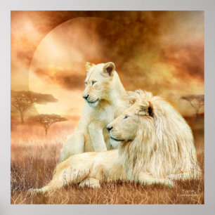 Affiches Deux Lions Blancs - Ensemble Poster/Imprimer
