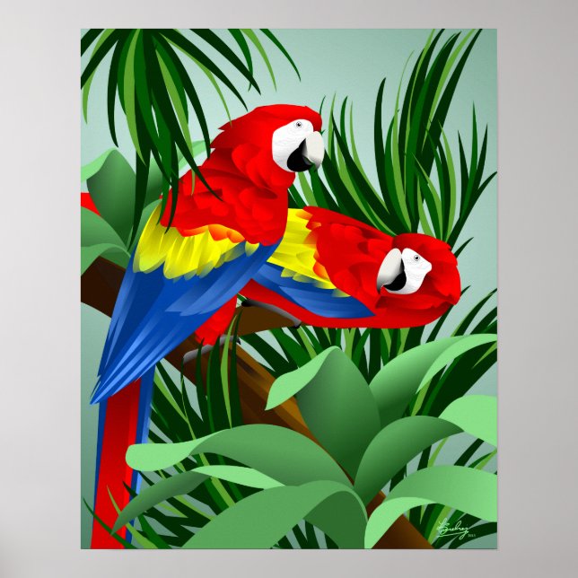 Affiches Deux Macaws écarlate (Devant)