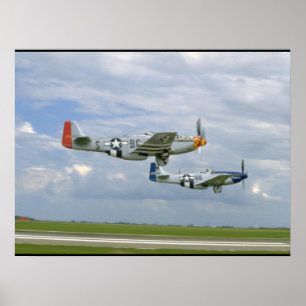 Affiches Deux mustangs P51 pilotant par. des avions de