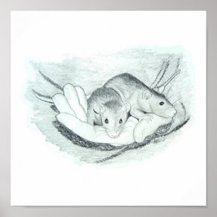 Affiches Deux rats dans la main