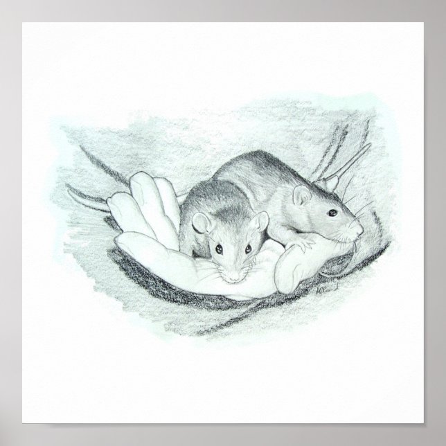 Affiches Deux rats dans la main (Devant)