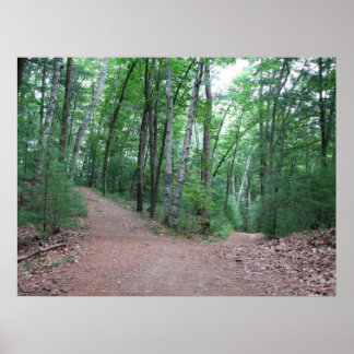 Affiches Deux Routes Divergées Dans Un Bois Jaune