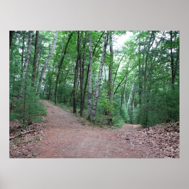 Affiches Deux Routes Divergées Dans Un Bois Jaune (Devant)