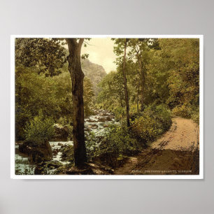 Affiches Devils Glen, Ashford, Comté de Wicklow Irlande