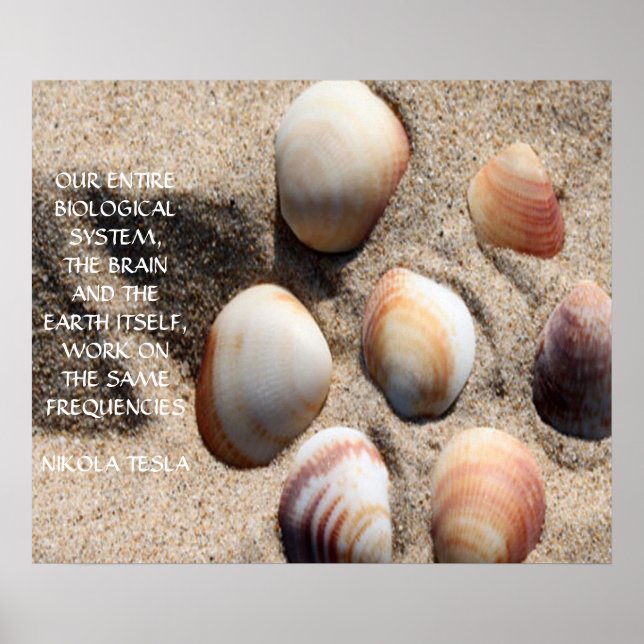 AFFICHES DEVIS NIKOLA TESLA - MÊME FRÉQUENCES - (Devant)