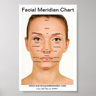 Affiches Diagramme de méridienne faciale