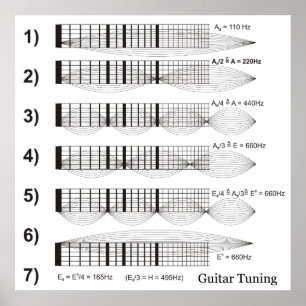 Affiches Diagramme de réglage de guitare par furet