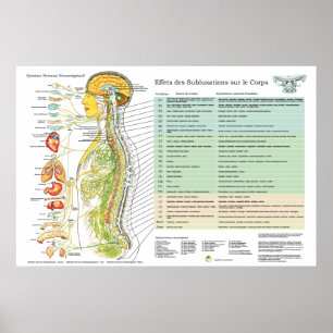 Affiches Diagramme français de chiropractie d'effets de