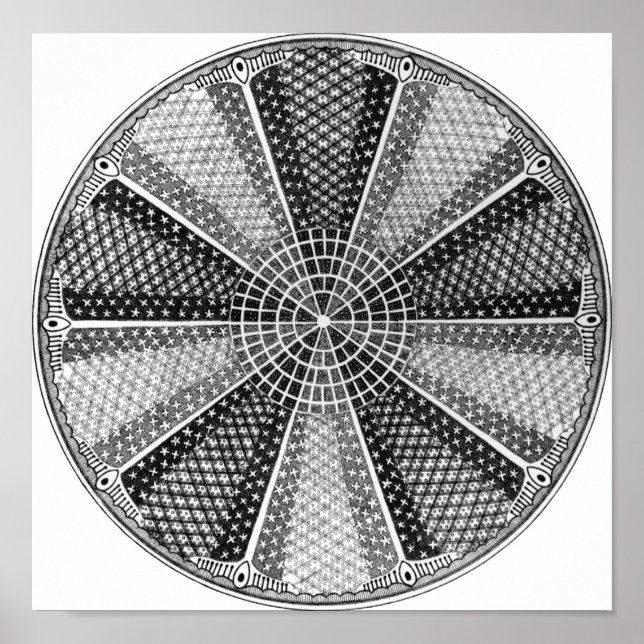 Affiches Diatom 13 Ernst Haeckel Fine Art (Devant)