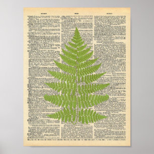 Affiches Dictionnaire vintage Art Green Fern Frond Imprimer