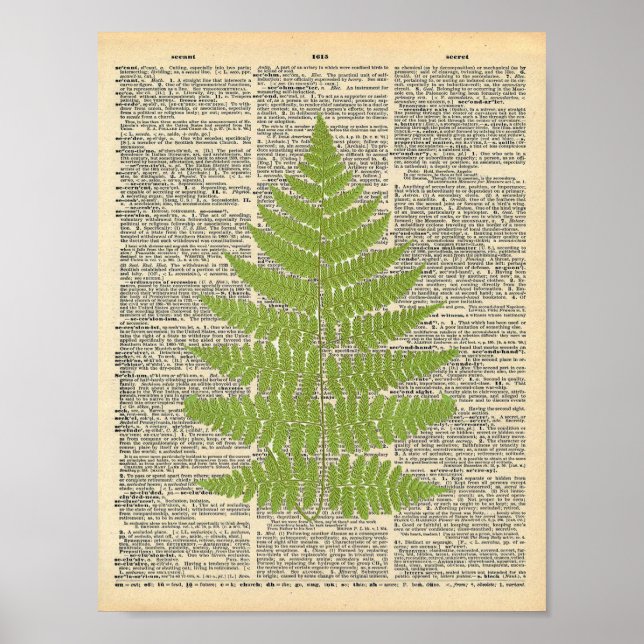 Affiches Dictionnaire vintage Art Green Fern Frond Imprimer (Devant)