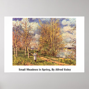 Affiches Die Small Meadows Au Printemps, Par Alfred Sisley