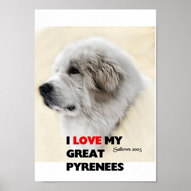 Affiches diego (Devant)