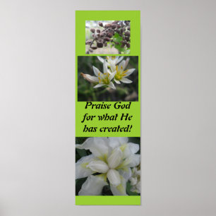 Affiches Dieu d'éloge pour ce qu'il a créé !