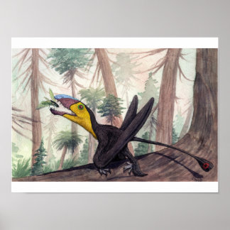 Affiches Dimorphodon