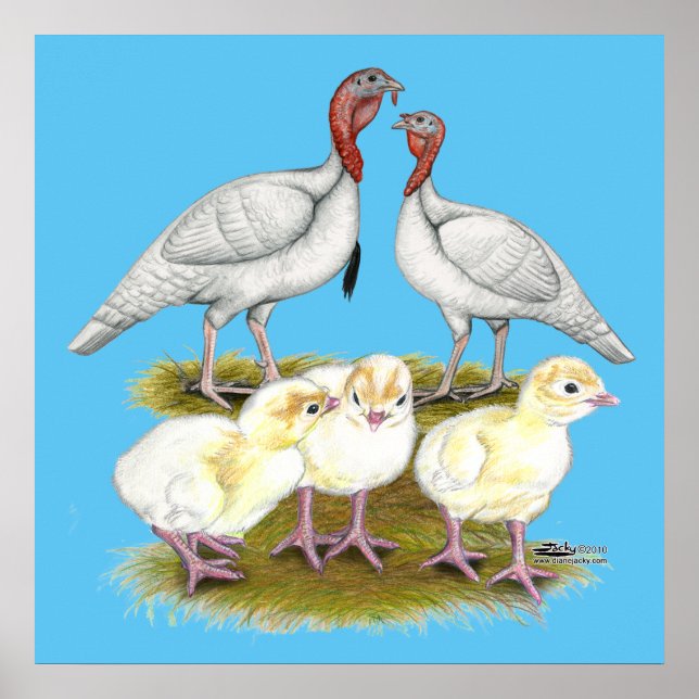 Affiches Dinde Mini Blanche Familiale (Devant)