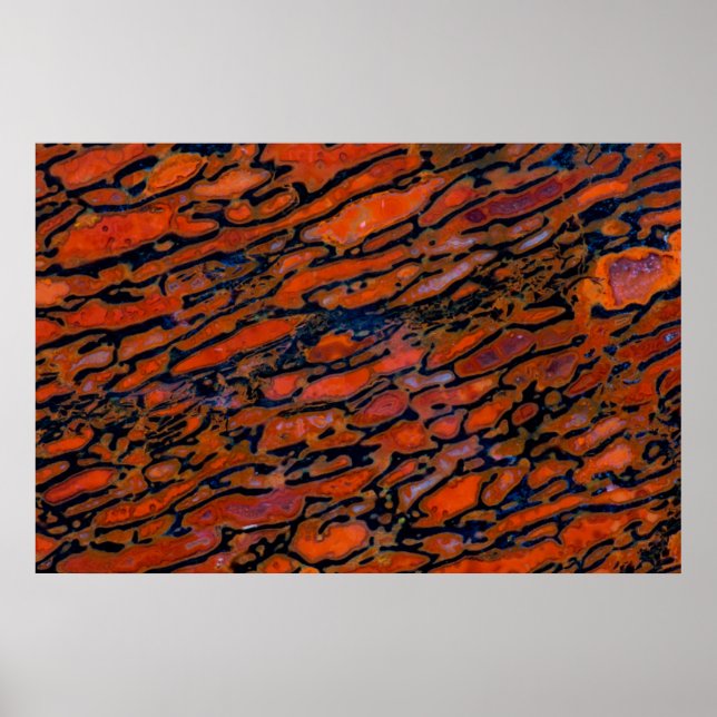 Affiches Dinosaure bone (Devant)