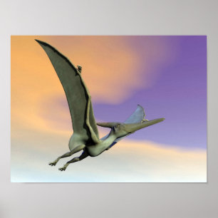 Affiches Dinosaure Pteranodon volant - rendu 3D