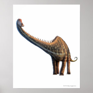 Affiches Diplodocus