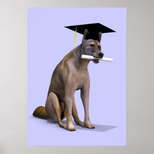 Affiches Diplômé Coyote