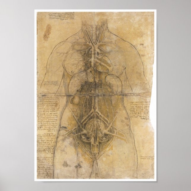 Affiches Dissection des organes d'une femme, Da Vinci (Devant)