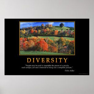 Affiches Diversité