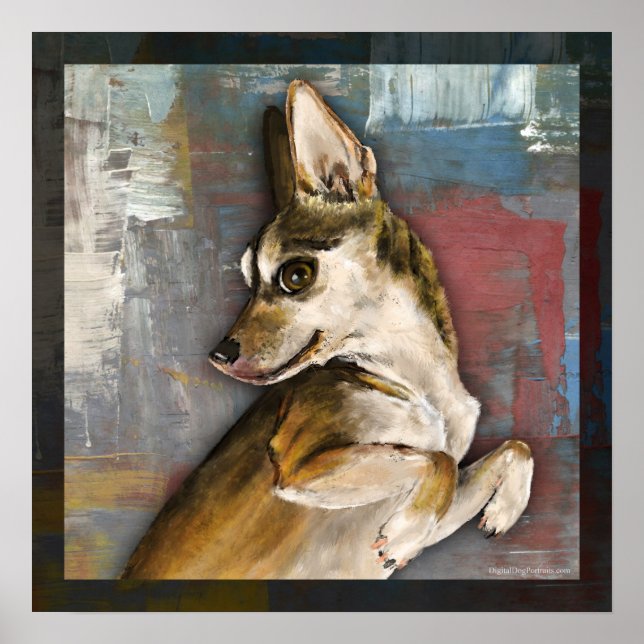 Affiches Dmbo (Devant)