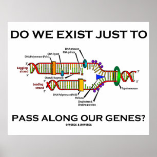 Affiches Do We Exist Just To Pass Along Our Genes ?
