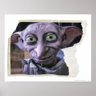 Affiches Dobby 1