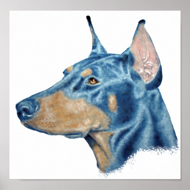 Affiches Doberman (Devant)