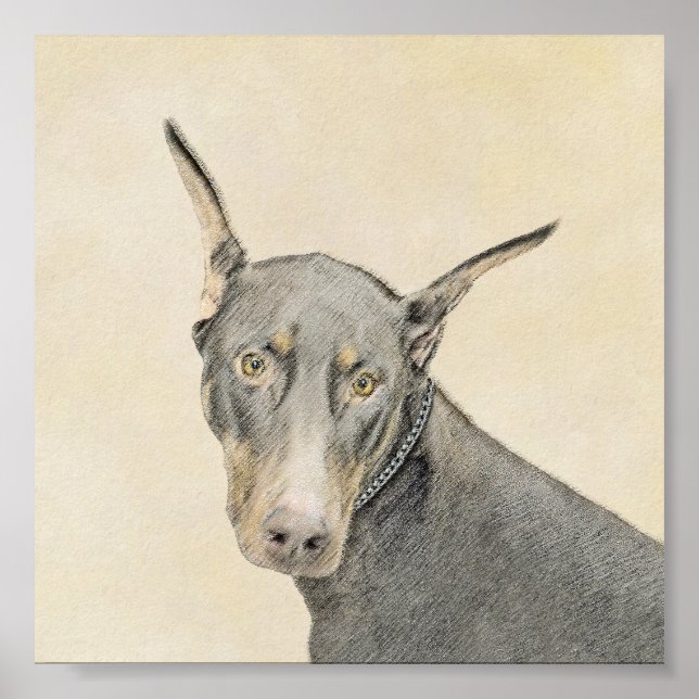 Affiches Doberman Pinscher Peinture - Art Chien original (Devant)