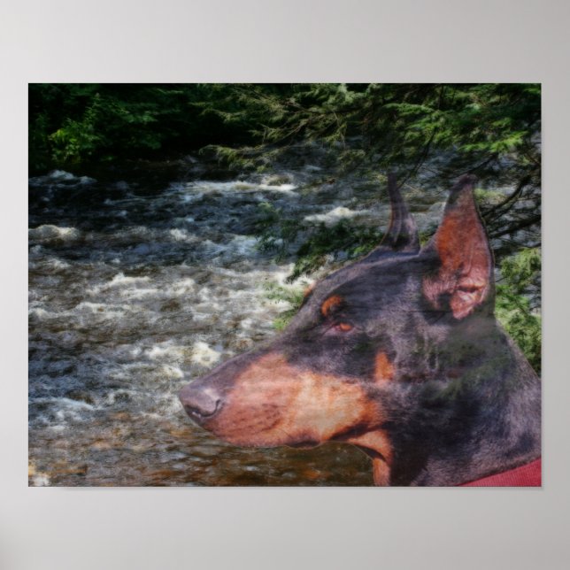 Affiches Doberman Pinscher River Tree Imaginaire Art (Devant)
