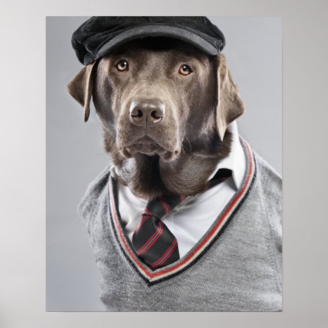 Affiches Dog in sweater and cap (Devant)