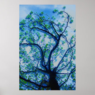 Affiches Dogwood Rendition III