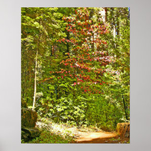 Affiches Dogwood rouge