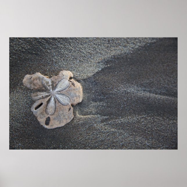 Affiches Dollar de sable sur sable (Devant)