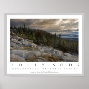 Affiches Dolly Sods Wilderness Area Virginie-Occidentale