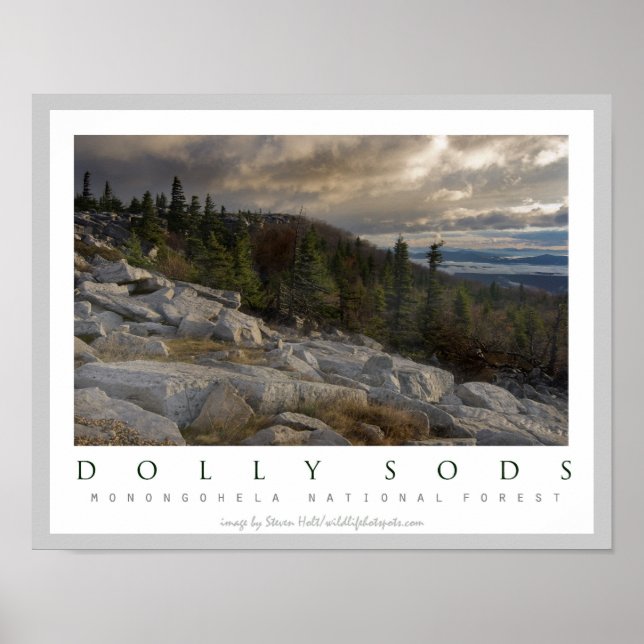 Affiches Dolly Sods Wilderness Area Virginie-Occidentale (Devant)