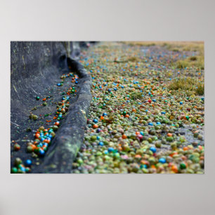 Affiches Domaine des rêves