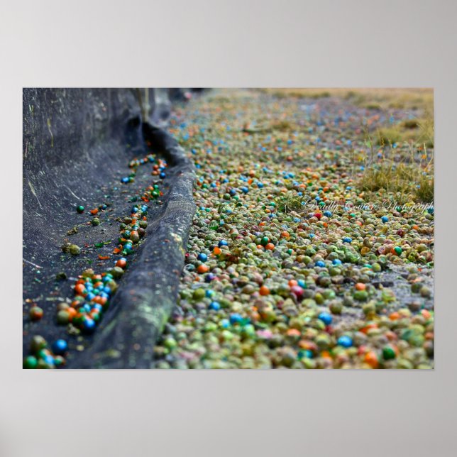 Affiches Domaine des rêves (Devant)