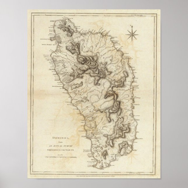 Affiches Dominique (Devant)