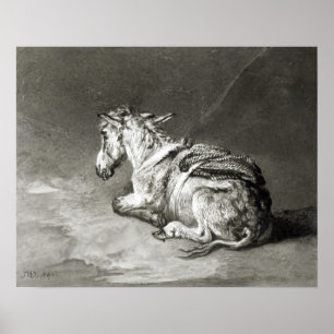 Affiches Donkey au repos