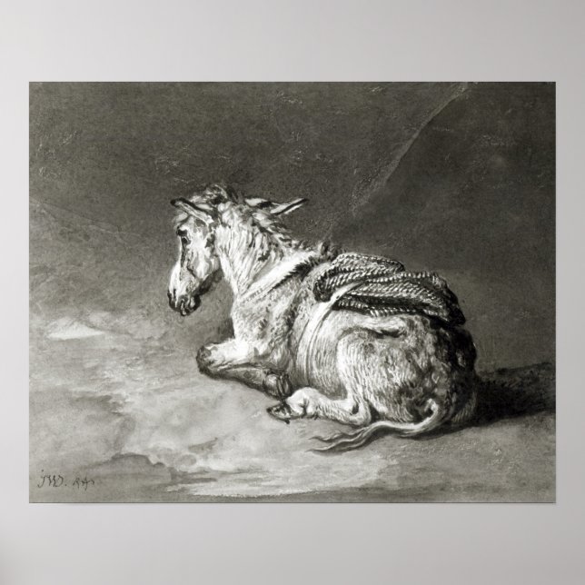 Affiches Donkey au repos (Devant)