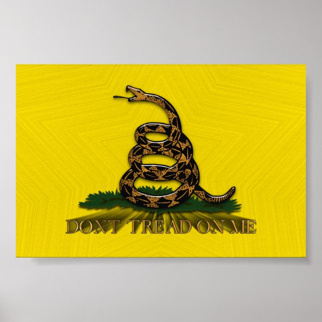 Affiches Dont Tread On Me (Devant)